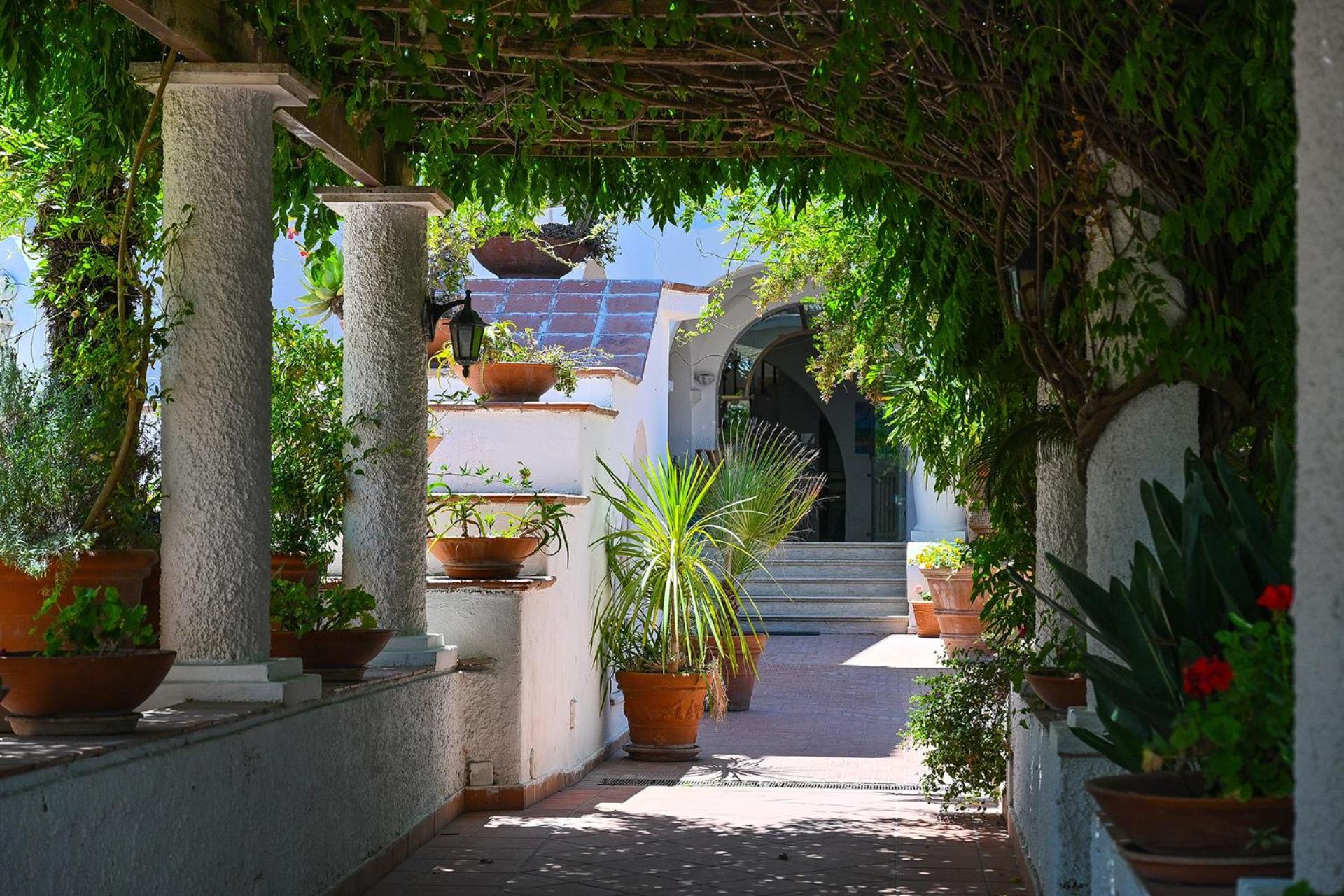 Av Club Terme Colella Hotel Forio  Bagian luar foto